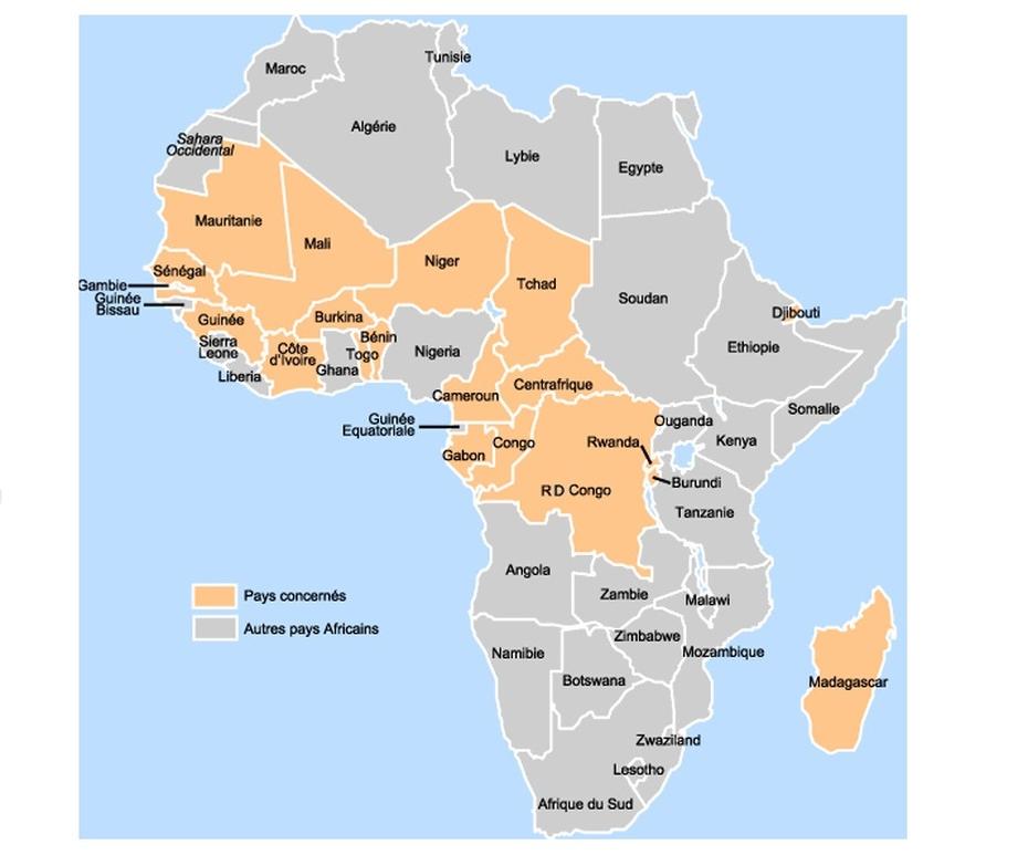 Journée Afrique subsaharienne au 1er econgrès de la franchise francophone